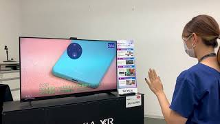 BRAVIA CAMを使ったジェスターコントロール：音量操作