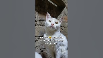 Every bit of your support counts. Click on the links in our bio to donate for any support 🙏