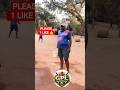TENNIS BALL CRICKET 🏏 GPL TOURNAMENT