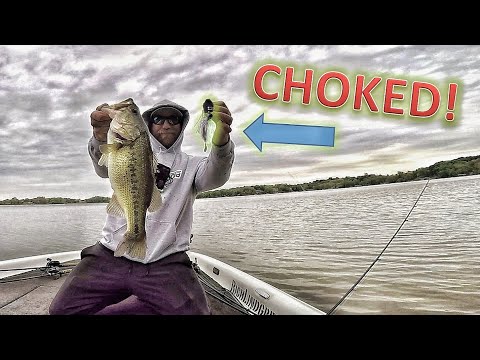 Do BASS ever
