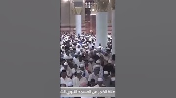 ‏﴿فاصبر إن وعد الله حق واستغفر لذنبك وسبح بحمد ربك بالعشي والإبكار﴾ ‏تلاوة شجية للشيخ أحمد بن طالب