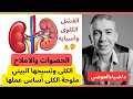 ملوحة الكلى أساس عملها الحصوات الفشل الكلوى أهمية الأملاح وظيفة الكلى الأصلية 