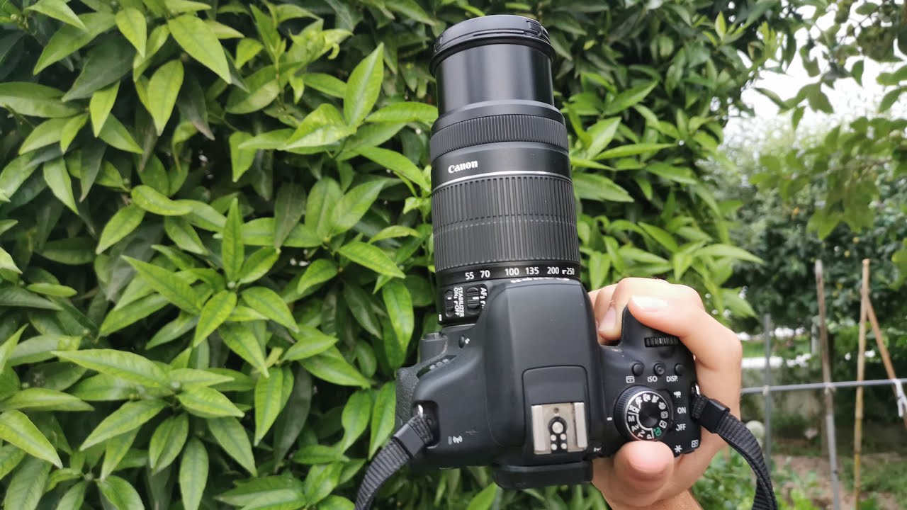 Canon EF-S 55-250mm f/4-5.6 IS II - Lens test - YouTube