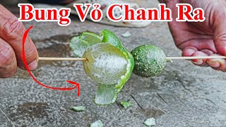 Wow ! Chỉ Cần Xoa Nhẹ Thôi Vỏ Chanh Sẽ Bung Ra Như Lột Vỏ Quýt / Cách Lột Vỏ Chanh Đơn Giản Như Quýt