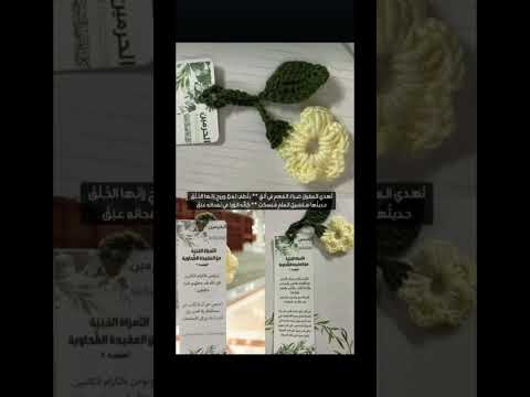 تهدي العقول إلى السبيل الأقوم ما أشرقت في الكون شمس حضارة إلا وكانت من ضياء معلم