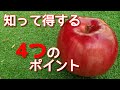 美味しいりんごの見分け方　知って得する４つのポイント　5/5【全5話】