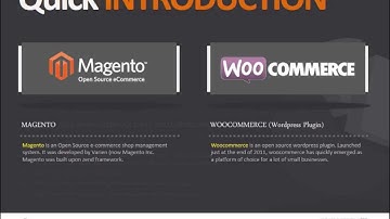 Magento or Woocommerce?