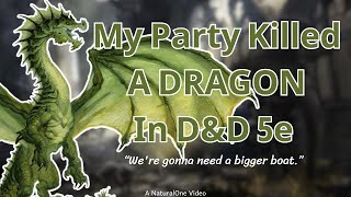 How My Level 5 Party Killed A Dragon | A D&D Story