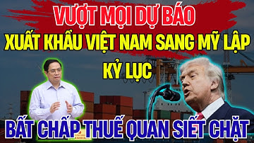 Bất Chấp Thuế Quan Siết Chặt, Xuất Khẩu Việt Nam Sang Mỹ Vẫn Lập Kỷ Lục | Chủ Đề Nổi Bật