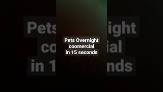 Pets Overnight Reenactment in 15 seconds