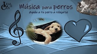 ✅FUNCIONA✅ MÚSICA para Relajar, Calmar y Dormir PERROS y CACHORROS  Música Relajante para Perros