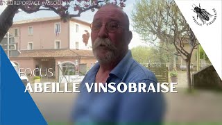 #WebReportage Focus sur "Abeille Vinsobraise"
