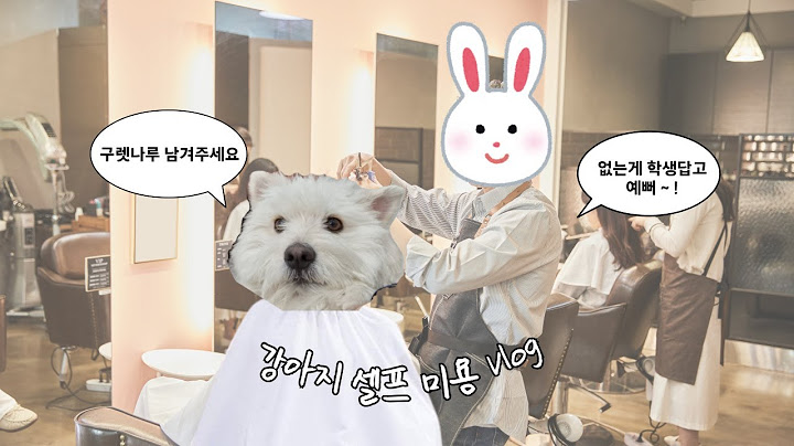 모모의 셀프 미용 vlog (귀여워서 심장 주의) 🐶🍀