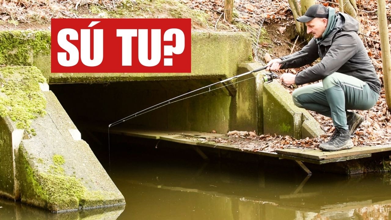 Rybolov na Maskovaného Dravca!