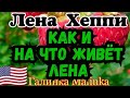 Лена Хеппи /USA HAPPY EVERY Day / Обзор новых Влогов //Как и на что живёт Лена Хеппи //