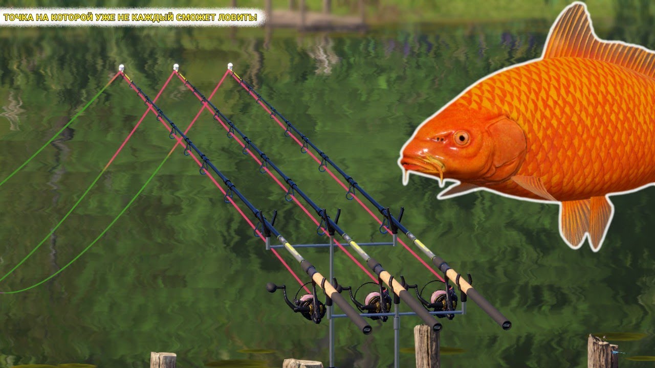 ТОЧКА НА КОТОРОЙ УЖЕ НЕ КАЖДЫЙ СМОЖЕТ ЛОВИТЬ! НА СКОЛЬКО ХОРОШО РАБОТАЕТ ЭТА ТОЧКА ПОСЛЕ ОБНОВЛЕНИЯ?