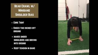 Bear Crawl W/ Miniband