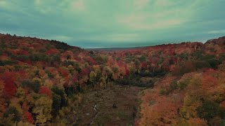Music & Seed - ''Fill Me'' (Official Music Video) screenshot 5