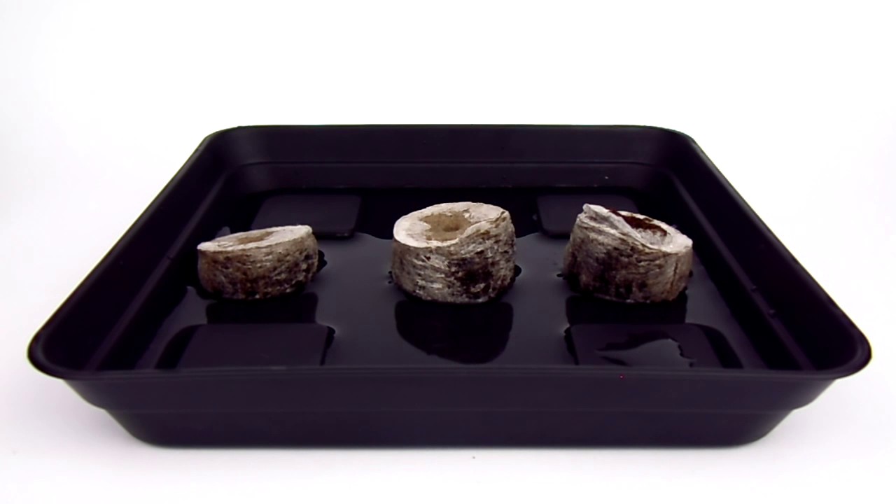 como preparar un jiffy, TIMELIPSE JIFFY