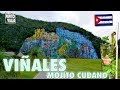 Qué hacer en VIÑALES, CUBA #5 - Tour del Mojito Cubano | Pepito Viaja