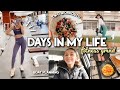 BACK ON MY FITNESS GRIND, BDAY PLANNING, 2 WORKOUTS | Vlog