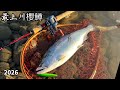 ドMな釣りから解放された日【最上川サクラマス】2026年4月吉日