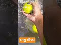 #lemon 🍋#fruit #water