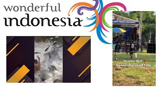 MEME PESONA INDONESIA