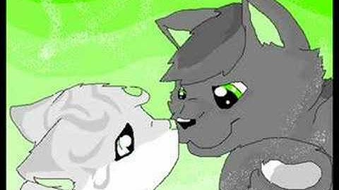 Warriors AMV - Greystripe and Silverstream