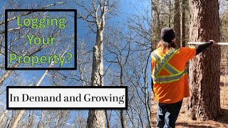 Logging your property-What you need to know- Project 291 Forestry consultant assessment (1/2)
