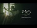 Social Animals - Always Be (Visualizer)