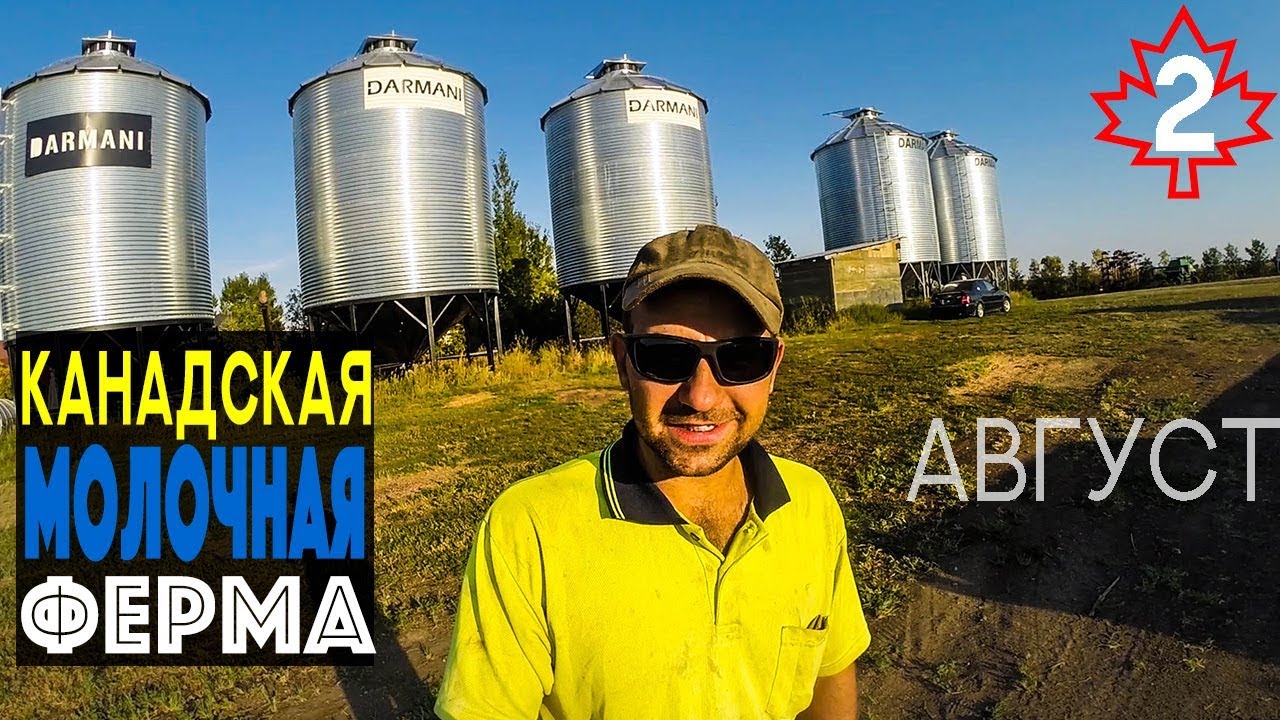 Канадская молочная ферма как выглядит. Саскачеван