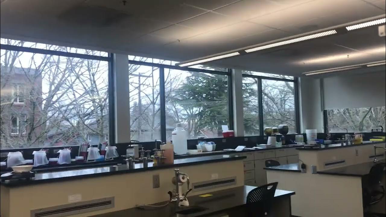 Virtual Lab Tour 1 YouTube