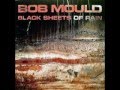 Bob Mould - Out of Your Life