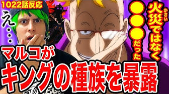 ワンピース最新話 Youtube