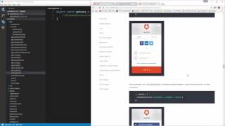 Learn to build an Auth0 App using Angular 2 - Auth0 Options