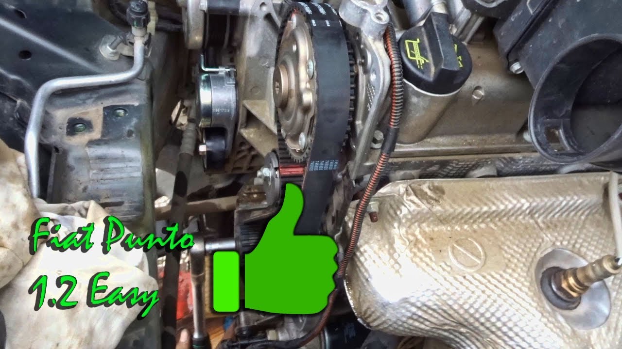 Distribuzione Fiat Punto 1 2 Easy Youtube