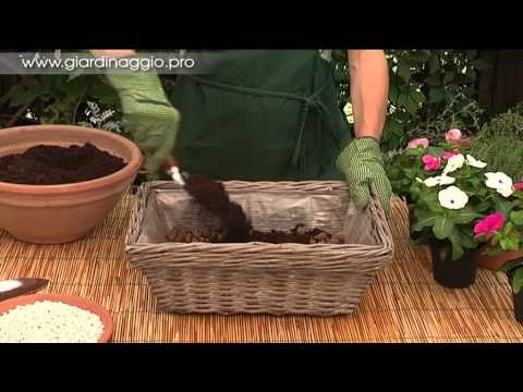 Video: Cesti per erbe aromatiche sospese: come realizzare un giardino di erbe aromatiche in un cesto