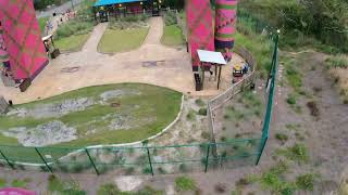 Serengeti Flyer POV at Busch Gardens Tampa