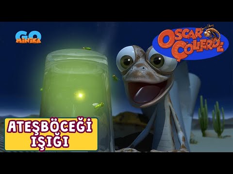 Oscar Çöllerde 🦎 | Ateşböceği Işığı | Minika