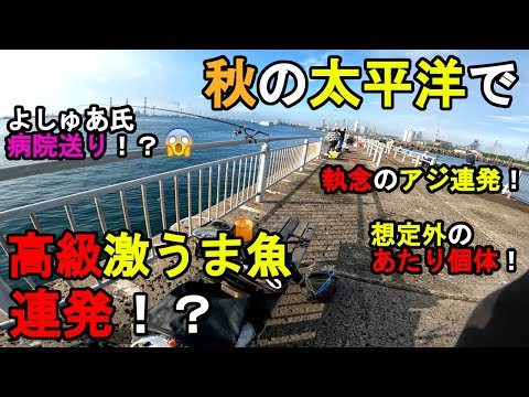 Somewhere in Ibaraki Prefecture] A string of delicious, high