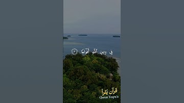 سورة النصر - المنشاوي #القرآن_الكريم #المنشاوي #اكسبلور #راحة_نفسية  #تلاوة_خاشعة #تلاوات #لايك