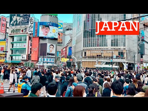 4K JAPAN  | 2022 | TOKYO, 日本旅行