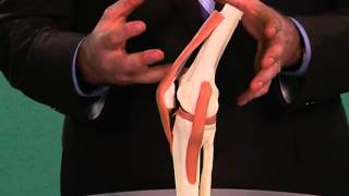 Bursitis - Serious Accidents Can Affect Knee Movement