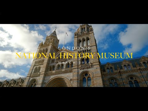 Exploring London's Natural History Museum 2024 | Cinematic Lumix S5 Video | Must-See Exhibits