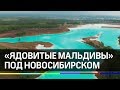 «Ядовитые Мальдивы»: отравленный «курорт» под Новосибирском