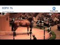 Havre de grace sells for 10000000 at fasigtipton november sale