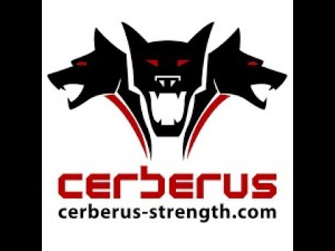 Abbildung 8 Hebegurte von CERBERUS Strength – CERBERUS Strength