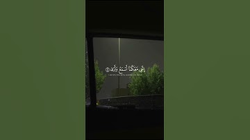 قران كريم راحة نفسية للقارئ عبدالرحمن المسعد ♥️🫶🏻 . #اكسبلور #المصحف #لايك #الرحمن #تيك_توك #ترند