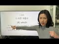 6-9. 의문 대명사 : which (2)